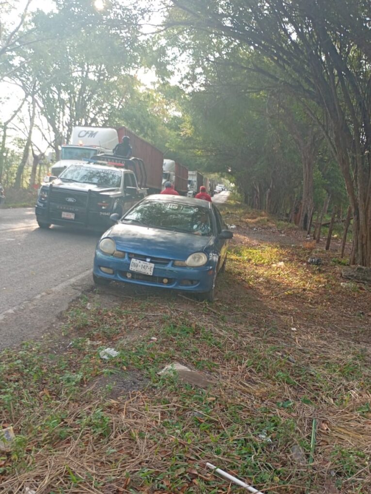 Liberan paso vehicular en la carretera Villahermosa–Teapa tras retiro de árbol