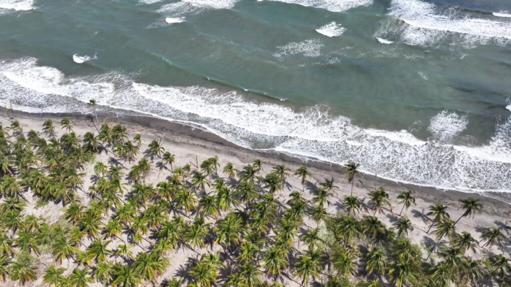 Listos restauranteros, pescadores y ostricultores de Paraíso para recibir a turistas en Semana Santa, con servicios y productos de calidad y limpio