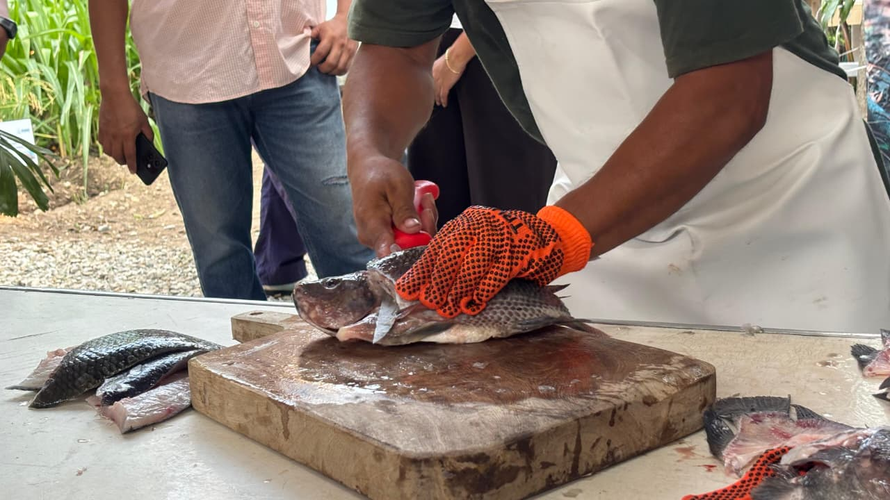 Nacajuca y Centro destacan en el Primer Concurso de Fileteo de Mojarra de la Feria Tabasco 2026