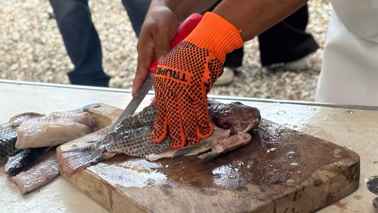 Nacajuca y Centro destacan en el Primer Concurso de Fileteo de Mojarra ...