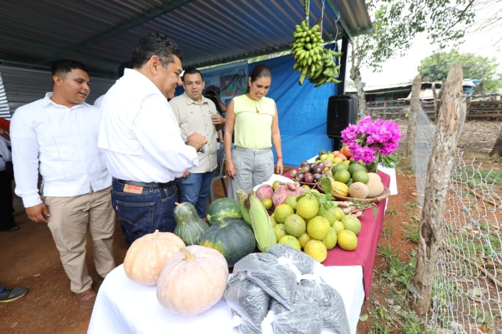 Javier May supervisa Comunidad de Aprendizaje Campesino de Jalapa, vivero conformado por 11 mujeres y 17 hombres…