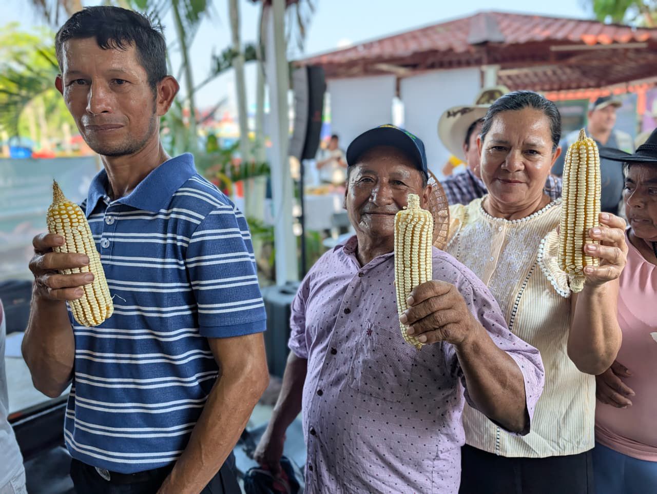 Más de 140 productores participan en concursos agrícolas de la Feria Tabasco 2026