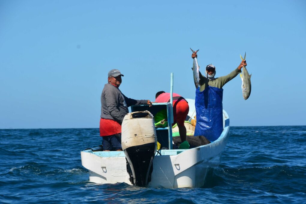 Pemex y SEMADES supervisan apoyos al sector pesquero en mar adentro de Tabasco…