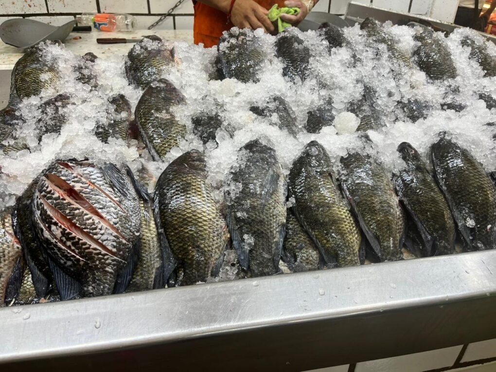 Refuerza Secretaría de Salud vigilancia sanitaria en venta de pescados y mariscos en los 17 municipios