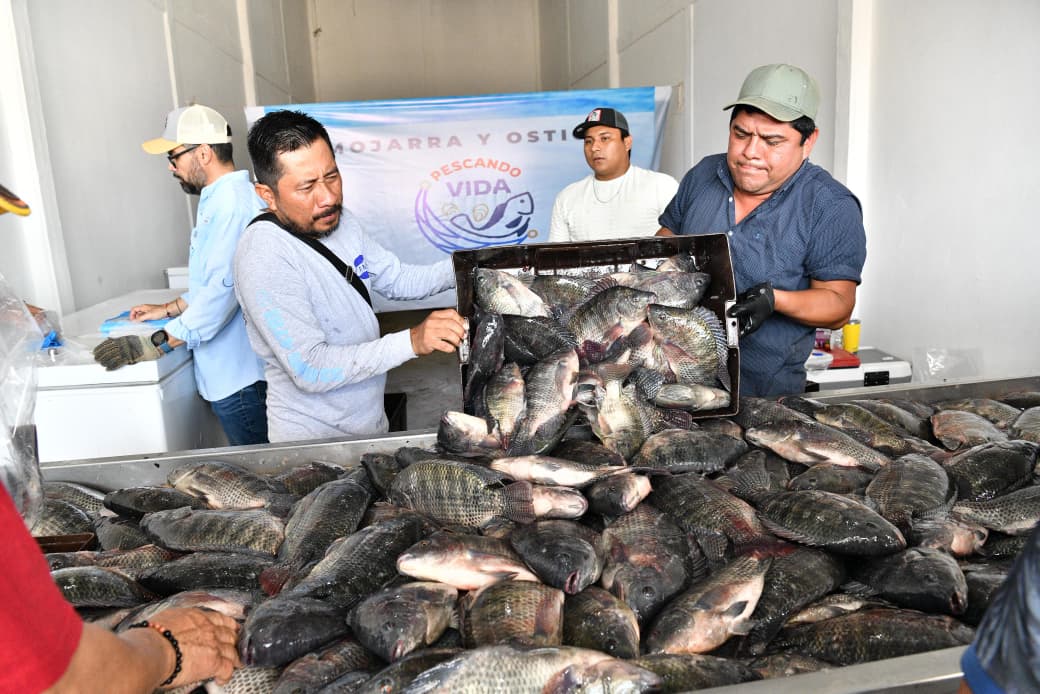 “Pescando Vida” rinde frutos…y en grande; exitosa venta de su producción en la Central de Abastos de Villahermosa…