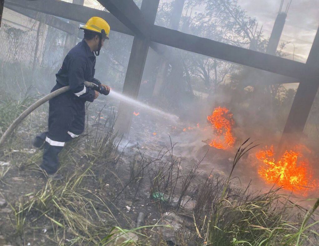 Atienden 15 incidentes por fuertes vientos del norte en Veracruz; sin personas lesionadas